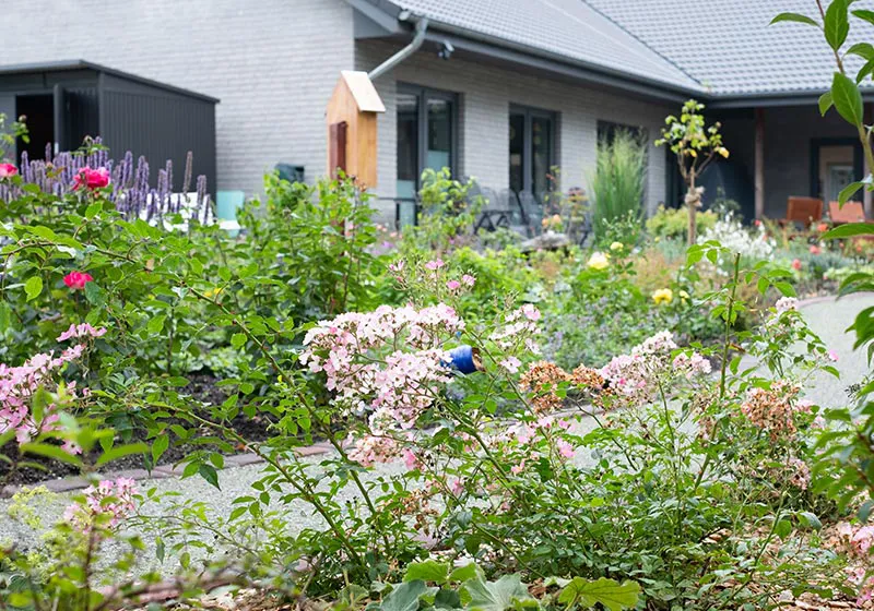 Demenzgarten im Tagestreff
